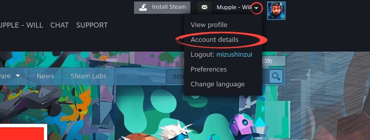 Steam - Password