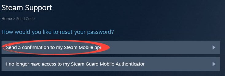 Steam - Password