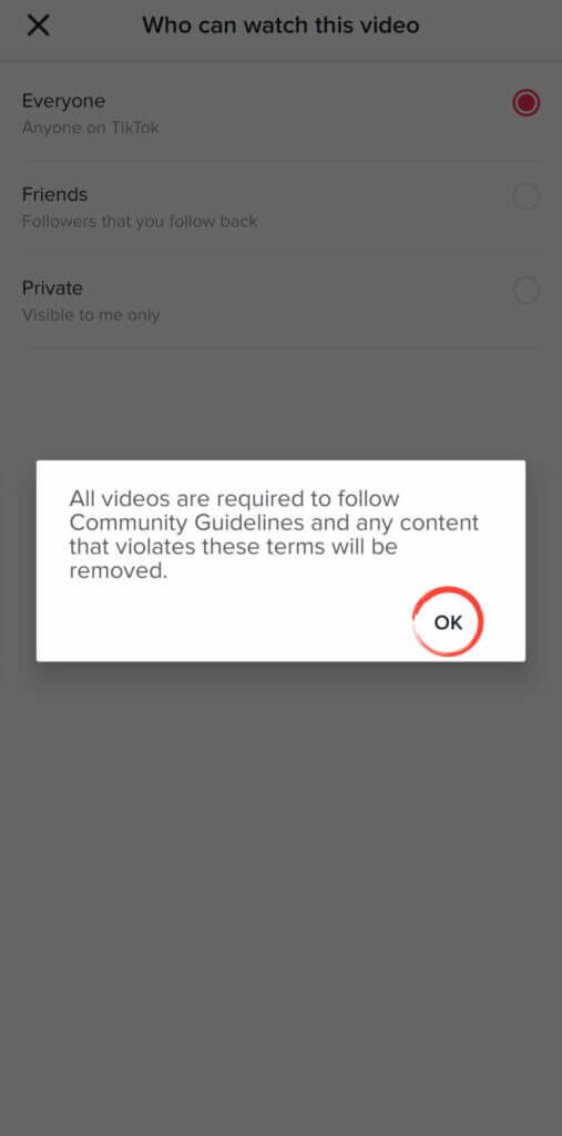 Hide Posts - TikTok