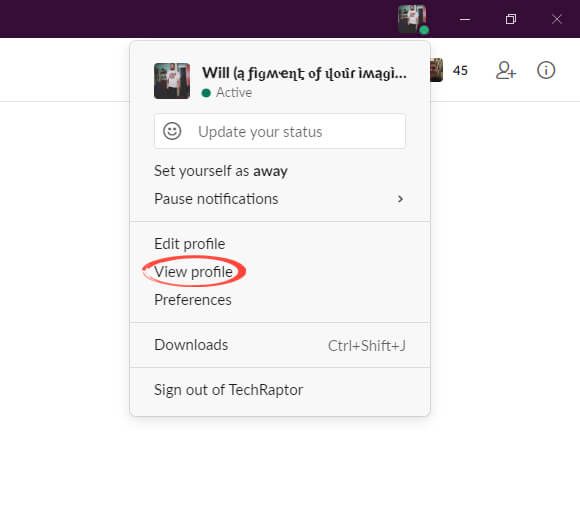 Slack tutorial image view profile